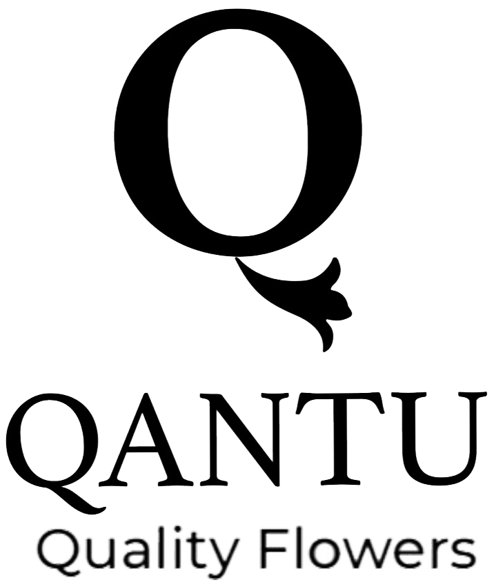 Qantu